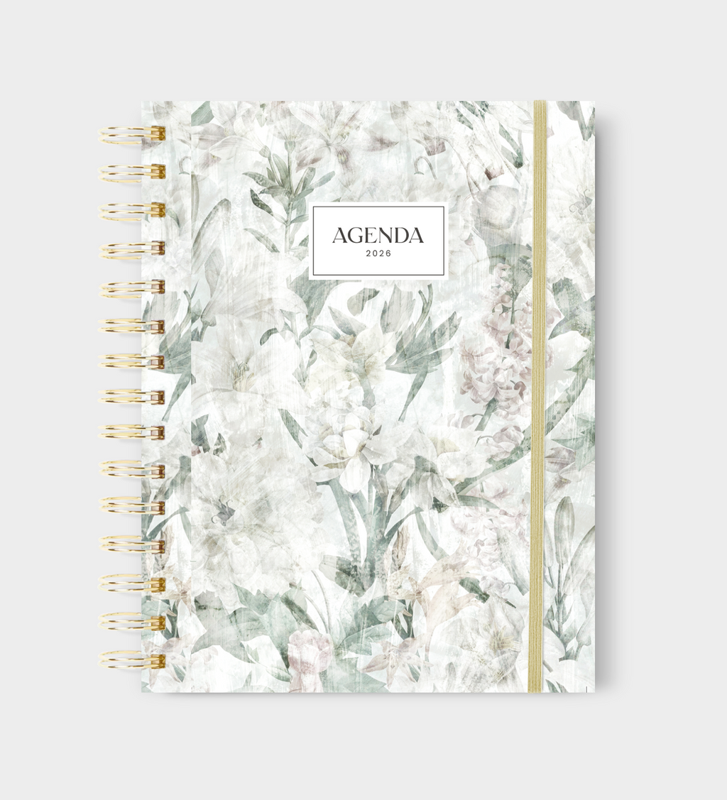 Agenda Mod. Anual